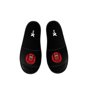 Strikeforce Kickboxing Slides