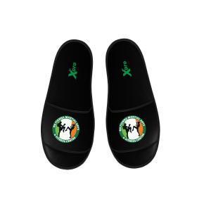 Na Fianna Club Slides